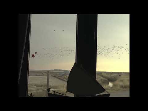 To σπίτι του φύλακα | Μαξιμιλιανός Μαγγίνας @ CFF13