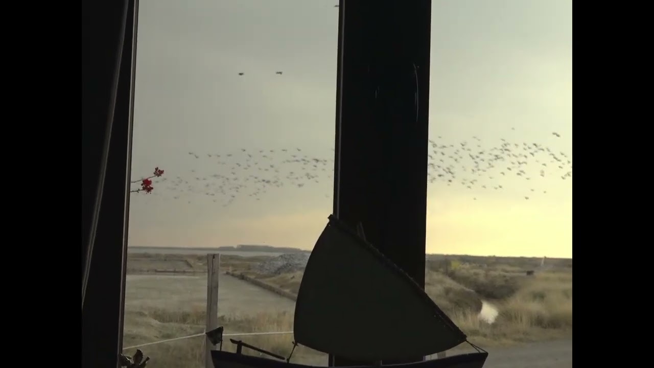 To σπίτι του φύλακα | Μαξιμιλιανός Μαγγίνας @ CFF13