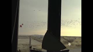 To σπίτι του φύλακα | Μαξιμιλιανός Μαγγίνας @ CFF13