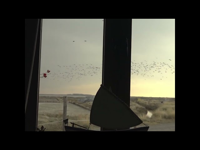 To σπίτι του φύλακα | Μαξιμιλιανός Μαγγίνας @ CFF13