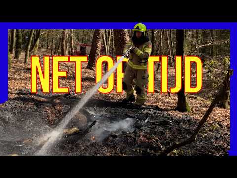 🔥 Dit is hoe een bosbrand begint… en op tijd werd gestopt - VOLUNTEERS DUTCH FIREFIGHTERS -
