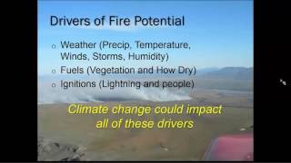 Tundra Fires in a Changing Climate
