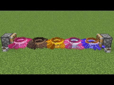 1000 axolotls + 1000 axolotls = ???