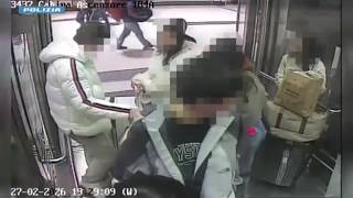 Malpensa, ecco come agivano le ladre negli ascensori: furti in pochi secondi, nascoste da giacche...