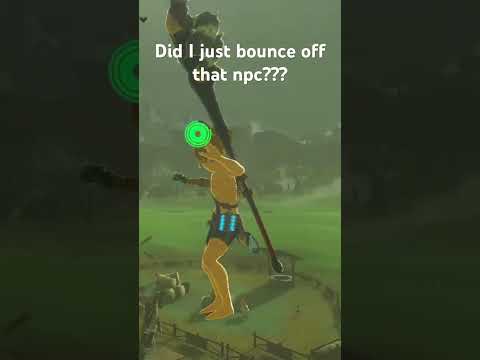 Did I just bounce off that npc? #gaming #zelda #totk