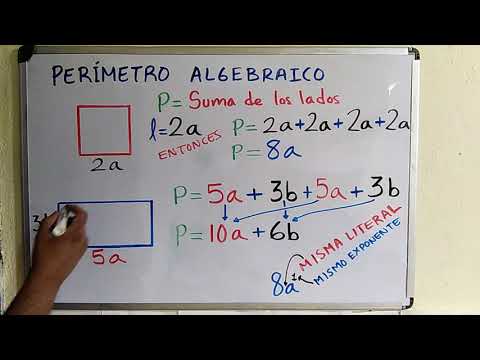 PERÍMETRO ALGEBRAICO