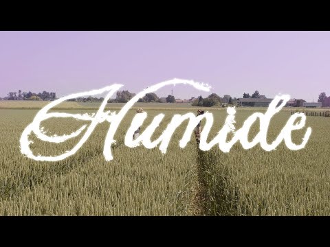 Video thumbnail for Humide