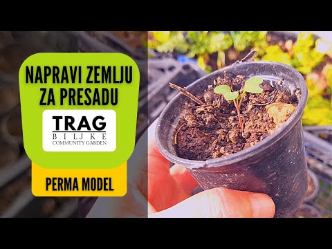 Make Your Own Soil For Seedlings