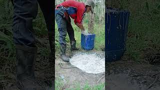 Download lagu petani karet viral#fyp mp3 Download lagu petani karet viral#fyp mp3