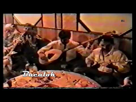 Aziz Gashi & Lek Duhani & Afrim Gashi & Demir Gashi & Pren Berisha  -  Dy Zogj te malit