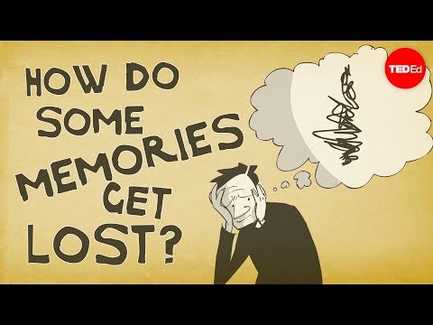 How Memories Form and How We Lose Them