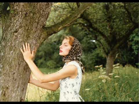 Les Neiges du Kilimandjaro  -  Hiltrud Linnemann