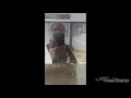 Mes 3 The SearsTown Mall Titusville FL