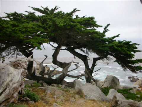 17-MILE DRIVE, MONTEREY, CALIFORNIA, USA