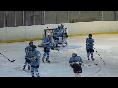 EVU Hoki D vs Pelicans Easy Hockey D turkoosi 13 1 2019