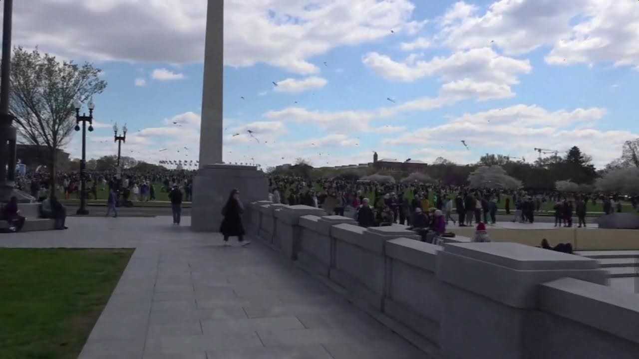 Washington DC NO KINGS Protest