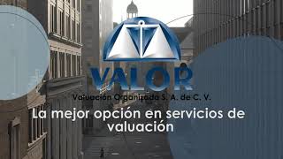 Publicaciones de Valuación Organizada