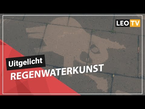 Uitgelicht: Regenwaterkunst