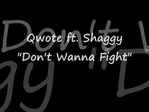 Shaggy Say Shaggy in Qwote's "Don't Wanna Fight" (ft. Shaggy)