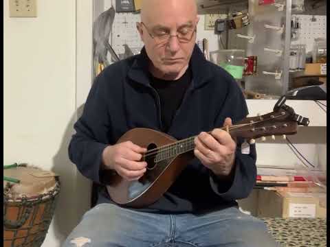 Wurlitzer mandolin 1919-1922 - natural mahogany image 12