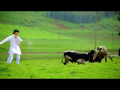 Ethiopian New year song ካሳሁን እሸቱ እና ቆንጂት ሻንቆ (አውድ አመት)