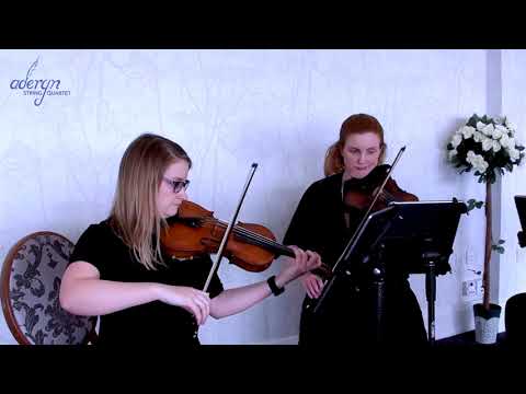 Walk The Moon – Shut Up and Dance