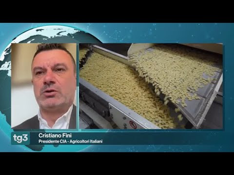 RAI 3 FUORI TG - Pasta a rischio tra dazi e grano sottocosto. Con il presidente Cia, Cristiano Fini