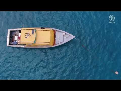 Turning fish waste Into Wealth