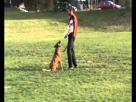 Výběr figurantů MM MSKS 2015