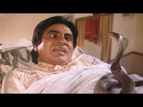 Sote Hue Amitabh Bachchan Ke Upar Chadha Saanp..Darr Ke Maare Shuru Hui Aankhri Saansein - Toofan
