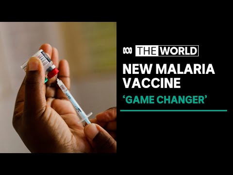 WHO recommends malaria vaccine that will be rolled out next year | The World