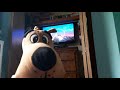 VHS Reactions Season 1 Episode 2 Little Bear Meet Little Bear 1997 VHS