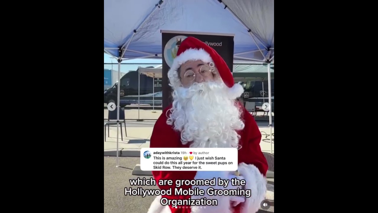 Promotional video thumbnail 2 for SINGING and DANCING SANTA for your event or party!