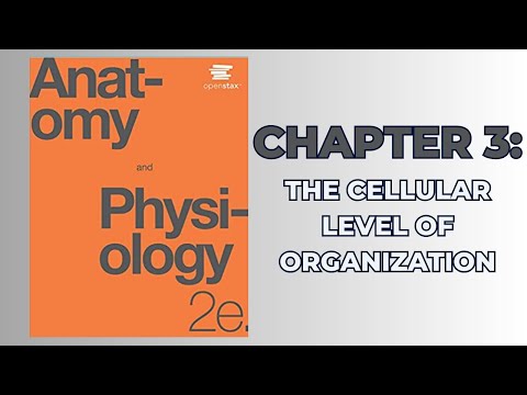 OpenStax Anatomy and Physiology 2e (Audiobook) - Chapter 3: The Cellular Level of Organization