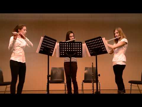 Bezirkswettbewerb "Musik in kleinen Gruppen" 2012