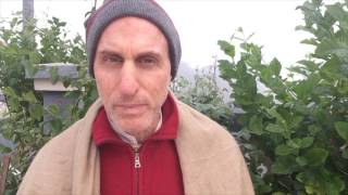 January 15: HG Mahatma Prabhu Speaks on "Forgiveness brings you closer to Krsna"