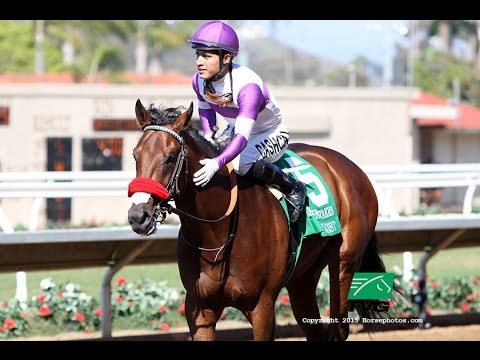 Nyquist Eyes 2015 FrontRunner Stakes at Santa Anita