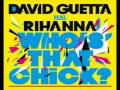 David Guetta Feat Usher - Who S That Chick?