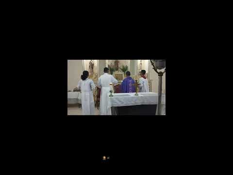 FESTA DE SANTA LUZIA - SÉTIMA NOITE