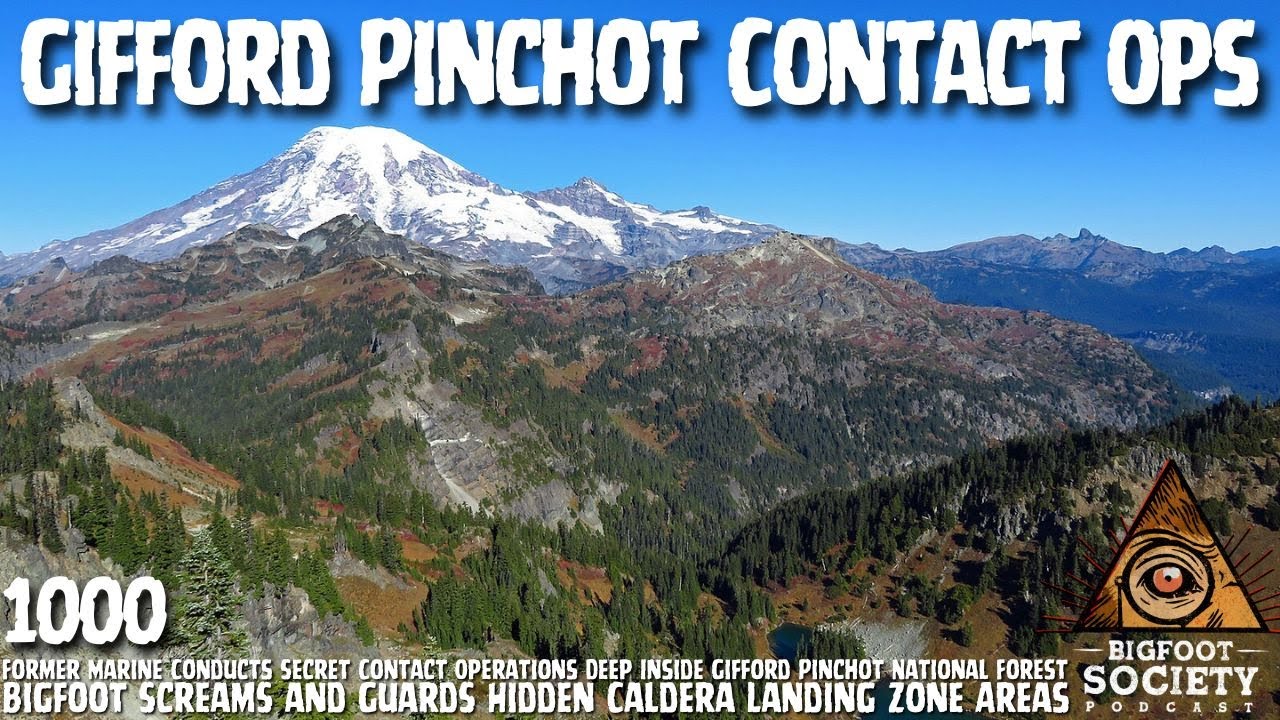 Former Marine Investigates Gifford Pinchot Forest Where Bigfoot Screams Forced Him Out