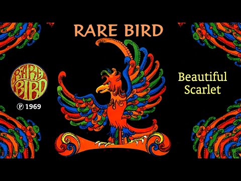 RARE BIRD - Beautiful Scarlet