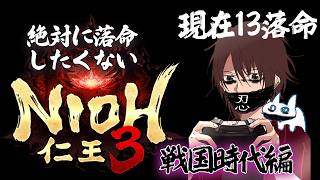 【仁王3】”命だいじに”戦国静岡ツアー⑤　二俣城から
