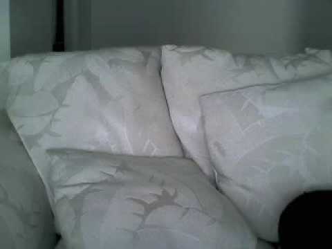 green street elite,stoughton mass