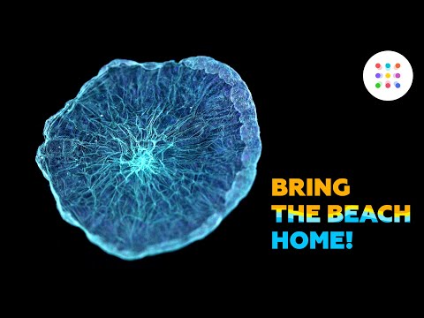 Artificial jellyfish