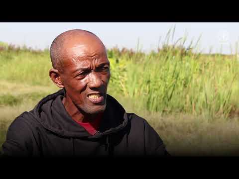 Post-harvest trainings: Fish feed production