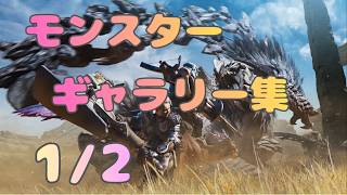 【モンスターハンターワイルズ】ギャラリー集1/2