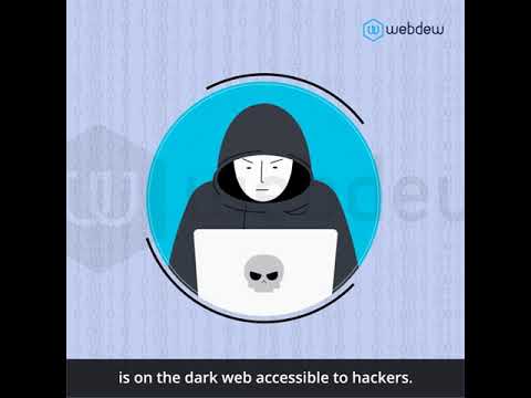 Privacy Hawk - Customer Success Story