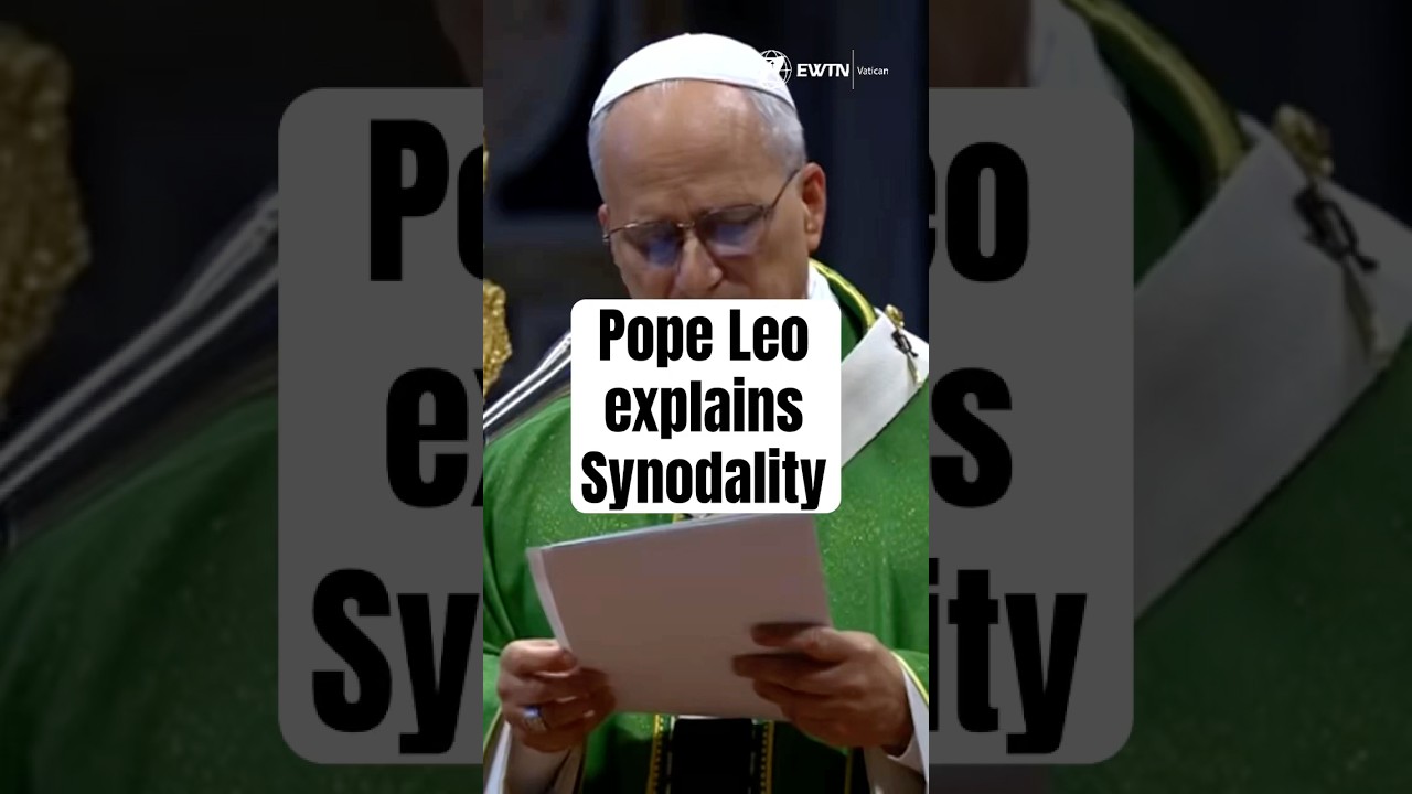 Pope Leo Explains Synodality in his Homily for the Jubilee of Synodal Teams