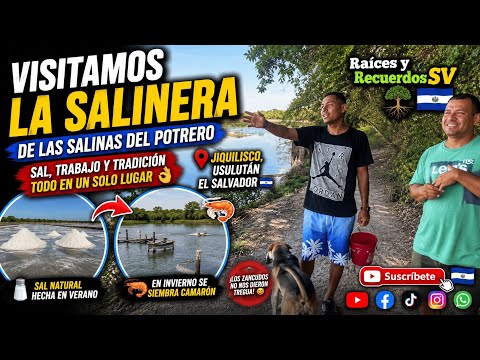 ¡Así producen la sal y cultivan camarón en Jiquilisco! Un lugar que pocos conocen