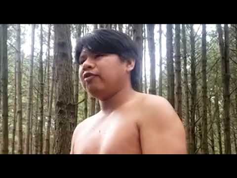 Retomada Xokleng Konglui (São Francisco de Paula, RS) sob ameaça de reintegração de posse